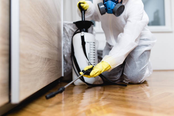 Best Best Pest Control Companies  in Neffs, OH