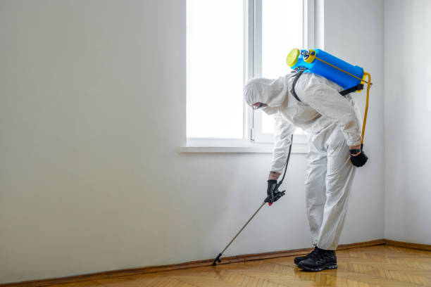 Best Residential Pest Control  in Neffs, OH